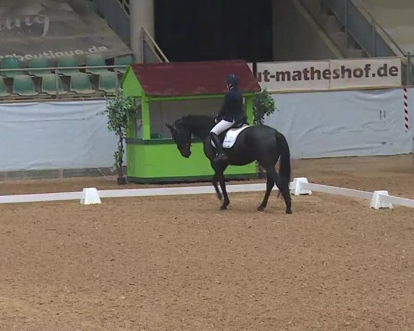 Reitturnier Kreuth 2023