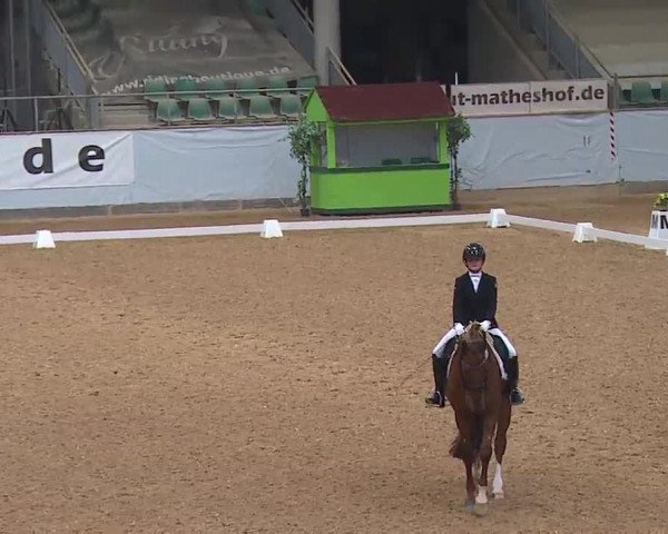 Reitturnier Kreuth 2023