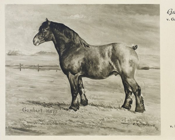 Deckhengst Gambert H 928 (Rheinisch-Deutsches Kaltblut, 1944, von Gamin du Onze RS (S) 362)