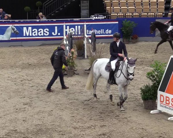 FEI Reitturnier Neumünster (GER) 2021