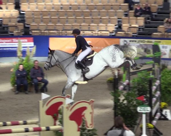 FEI Reitturnier Neumünster (GER) 2021