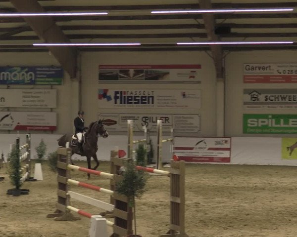 Reitturnier Borken 2023