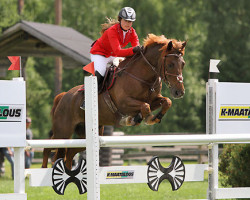 dressage horse Andy's Boy (German Riding Pony, 1998, from Andy)