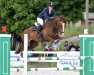 jumper Checkmate Junior WE (German Riding Pony, 2002, from Constantin)