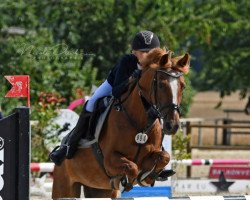 jumper Sacrebleau (German Riding Pony, 2007, from Bartholomeo)