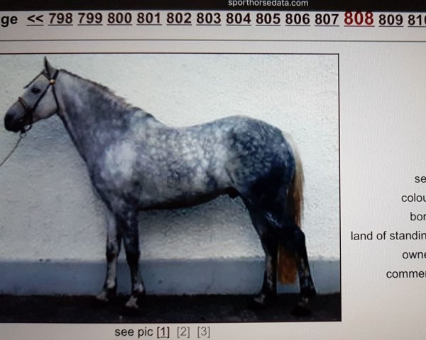 Deckhengst Moyralla Mint (Irish Sport Horse,  )