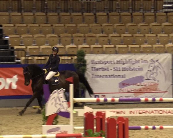 FEI Reitturnier Neumünster (GER) 2021
