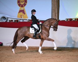 stallion Gut Wettlkam’s Bowmore (Oldenburg, 2018, from Bordeaux 28)