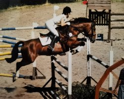 broodmare Libelle (Hessian Warmblood, 1983, from Leander)