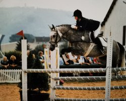 stallion L'Averdy (Hessian Warmblood, 1989, from Leander)