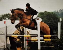 Pferd Landsturm 5 (Hessisches Warmblut, 1988, von Leander)