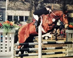 horse Lümmel (Deutsches Reitpferd, 1986, from Leander)