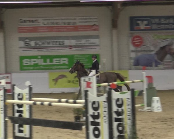 Reitturnier Borken 2023