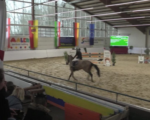Reitturnier Borken 2023