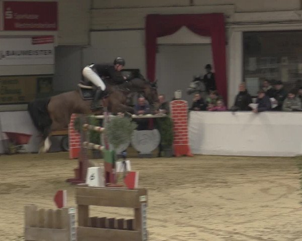 Reitturnier Borken 2023