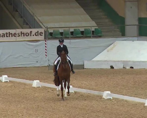 Reitturnier Kreuth 2023