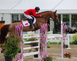 broodmare Zyvola (KWPN (Royal Dutch Sporthorse), 2004, from Chin Chin)