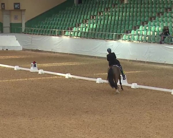 Reitturnier Kreuth 2023
