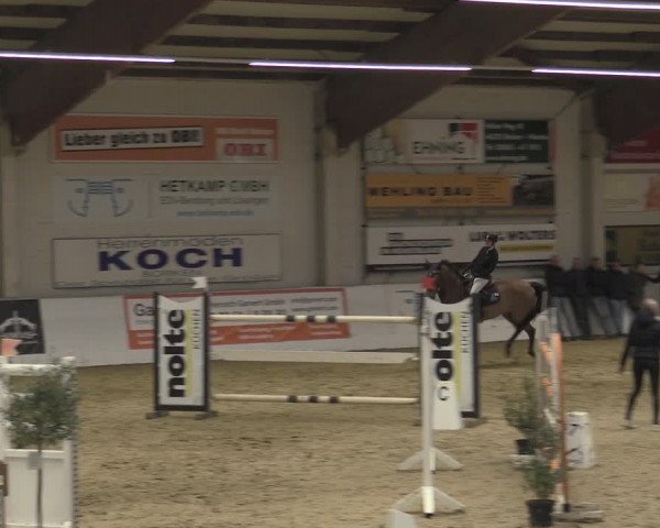 Reitturnier Borken 2023