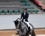 dressage horse Soraya S 3 (Oldenburg, 2013, from Fürstenball)