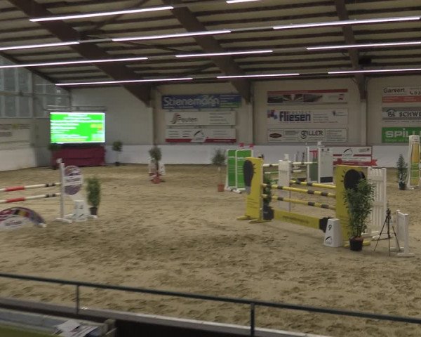 Reitturnier Borken 2023