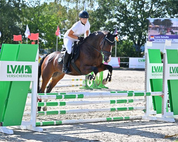 dressage horse Magical Sunshine W (German Sport Horse, 2007, from Sambero)