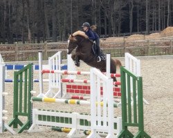 jumper Nordstern's Mika WE (German Riding Pony, 2007, from Nordstern's Monet)