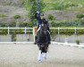 dressage horse Der Romantiker (Hanoverian, 2008, from Don Romantic)