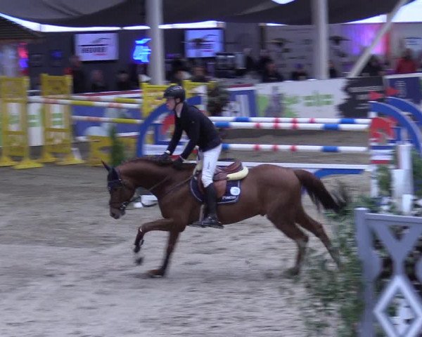 9. Nordic Jumping event Negernbötel 2023