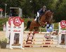 jumper Secret Line (Austrian Warmblood, 2017, from Aganix du Seigneur)