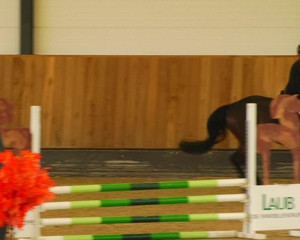 Reitturnier Zwickau 2023