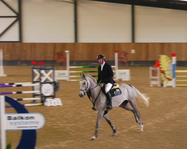 Reitturnier Zwickau 2023