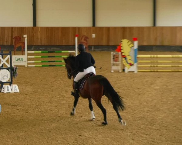 Reitturnier Zwickau 2023