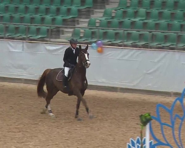 Reitturnier Kreuth 2023