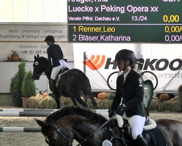 Reitturnier Karlsfeld/Obb. 2021