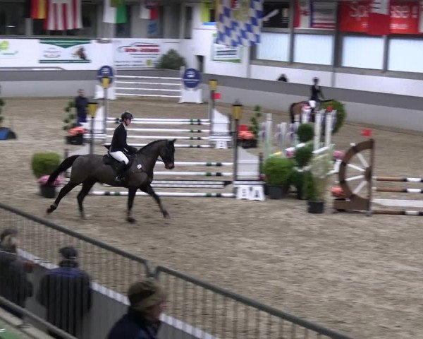 Reitturnier Luhmühlen 2023