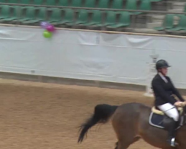 Reitturnier Kreuth 2023