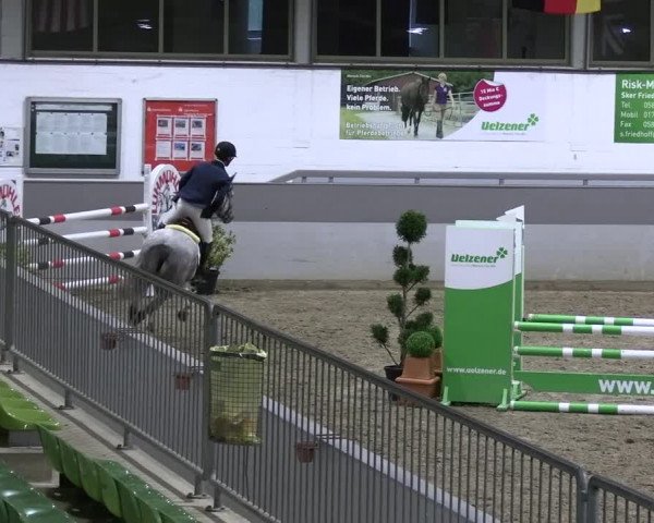 Reitturnier Luhmühlen 2023
