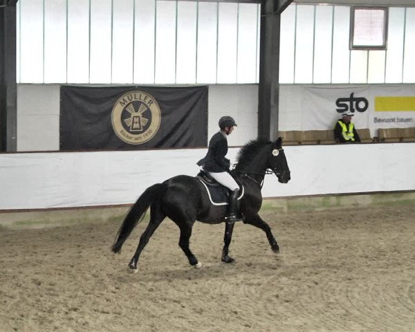 Reitturnier Karlsfeld/Obb. 2021