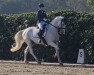 dressage horse Cyrano 175 (Danish Warmblood, 2011, from Carrico)