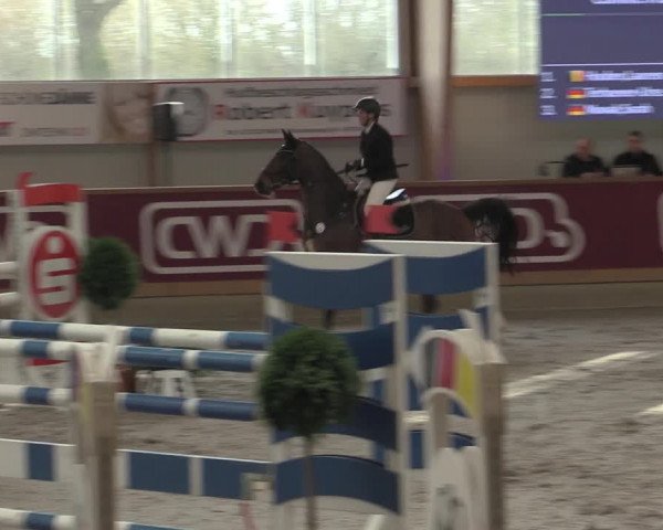Reitturnier Goch-Asperden 2023