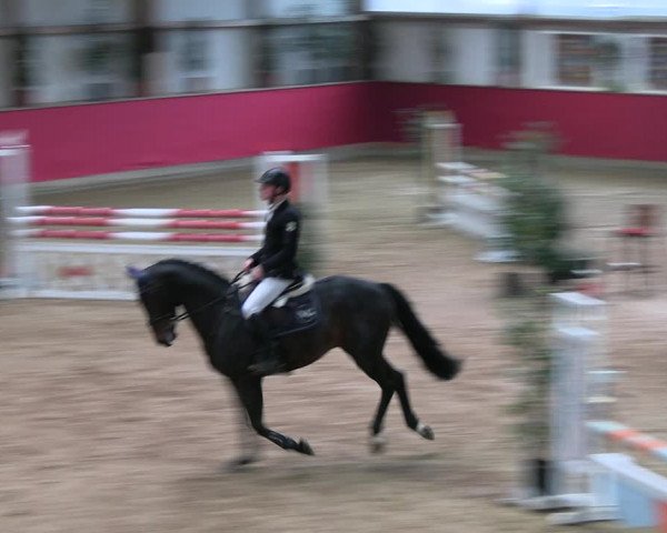 Reitturnier Klein Drehle - Reitanlage König 2023