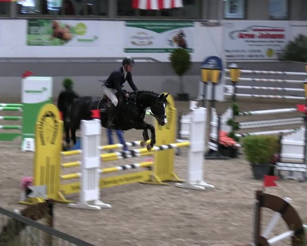 Reitturnier Luhmühlen 2023
