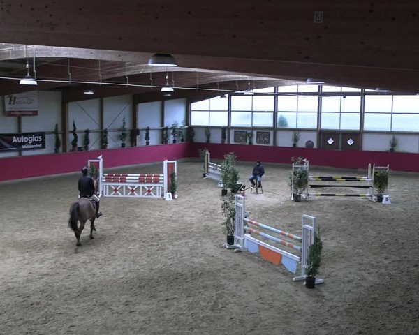 Reitturnier Klein Drehle - Reitanlage König 2023