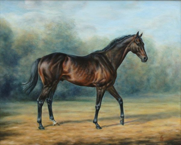 stallion Mykonos xx (Thoroughbred, 1984, from Gay Mecene xx)