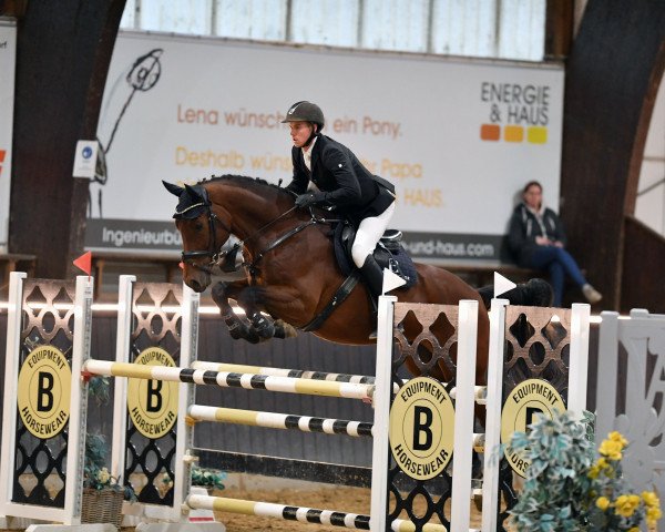 jumper Cross Over 5 (German Sport Horse, 2014, from Christos)