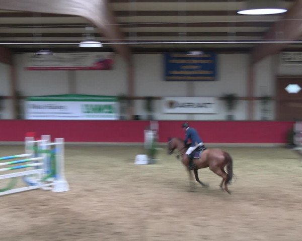 Reitturnier Klein Drehle - Reitanlage König 2023