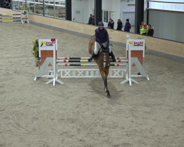 Reitturnier Borken 2023
