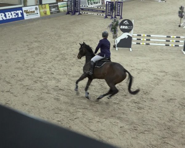 Reitturnier Borken 2023