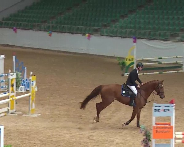 Reitturnier Kreuth 2023